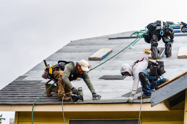 Professional Gutter Installation technician working in Alexander, ND